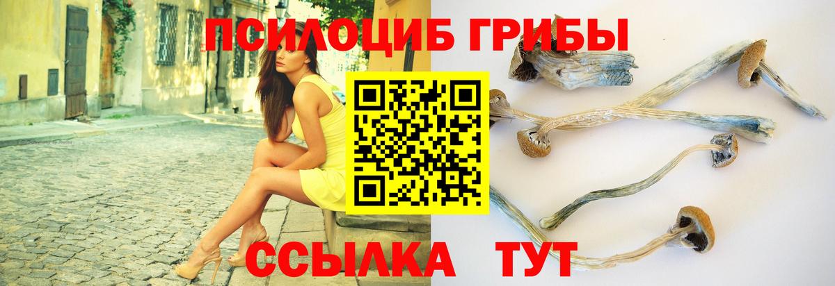 Псилоцибиновые грибы Psilocybine cubensis  Вход с VPN  Галлюциногенные грибы Psilocybe  Рославль 